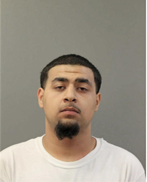 JEHU DE LA SANCHA, Cook County, Illinois
