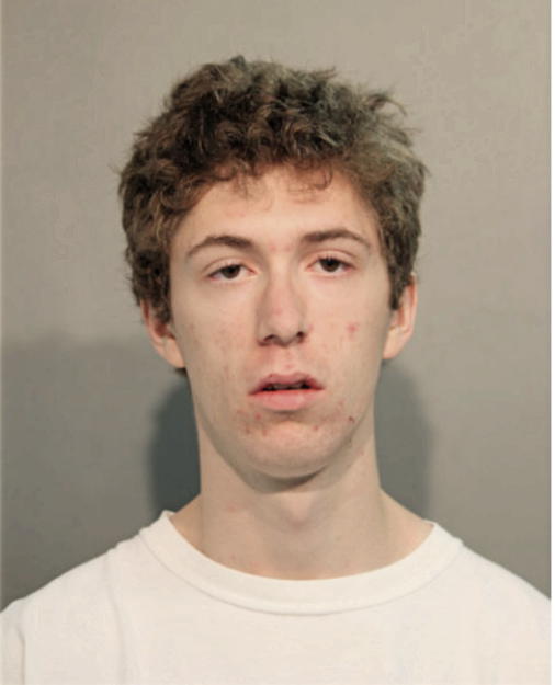 ALEX CARL LEVITT, Cook County, Illinois