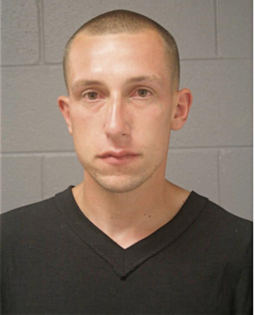 DAVID M LICHAJ, Cook County, Illinois