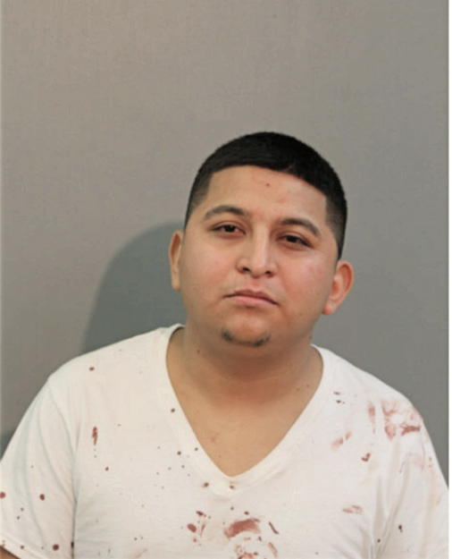 MARIO ROJAS MARTINEZ, Cook County, Illinois
