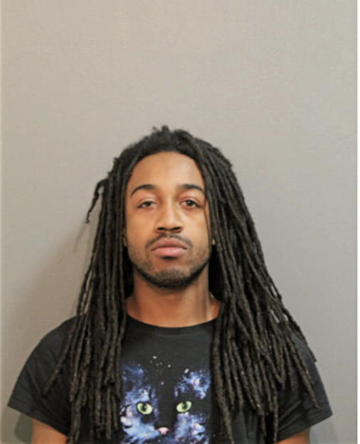 DAVID D MORGAN, Cook County, Illinois