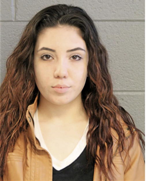 NOEMI OCEGUERA, Cook County, Illinois