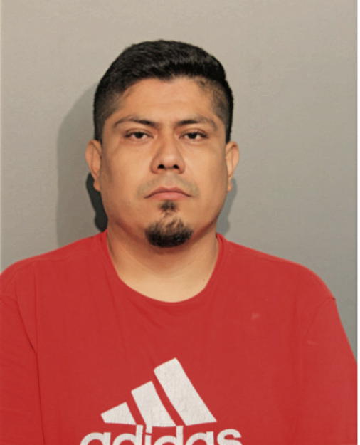MARIO RABADAN, Cook County, Illinois