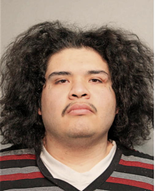 FABIAN REGALADO, Cook County, Illinois