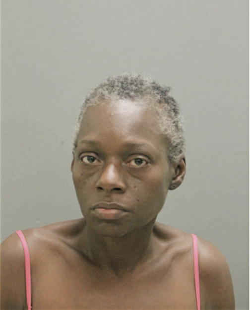 KAREN E ROBINSON, Cook County, Illinois