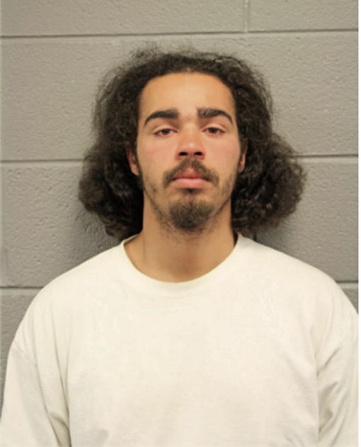 PAUL R TOWNES, Cook County, Illinois