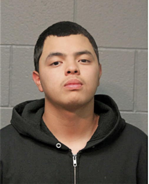 JULIAN E TRISTAN, Cook County, Illinois