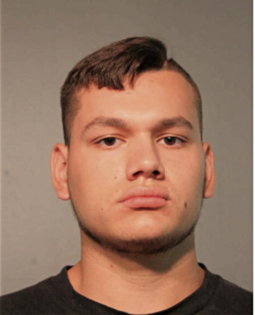 CHRISTIAN T VEGA, Cook County, Illinois