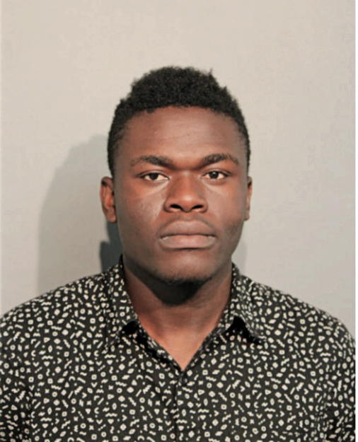 LOUIS K ADJEI, Cook County, Illinois