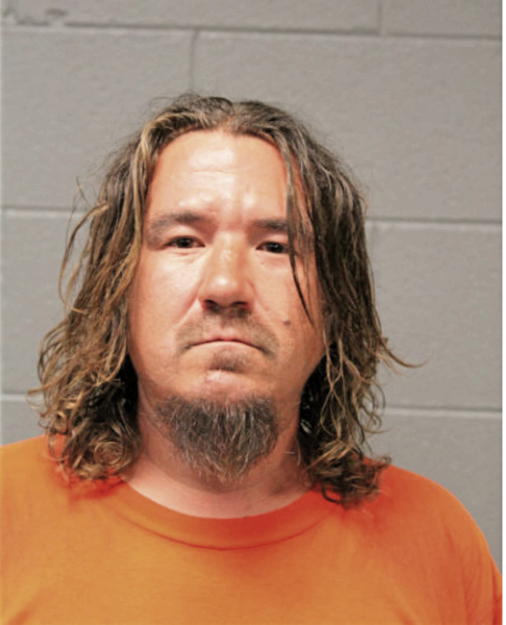 STEVEN A ALEXANDER, Cook County, Illinois