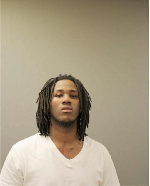 BRIAN K ANDERSON, Cook County, Illinois
