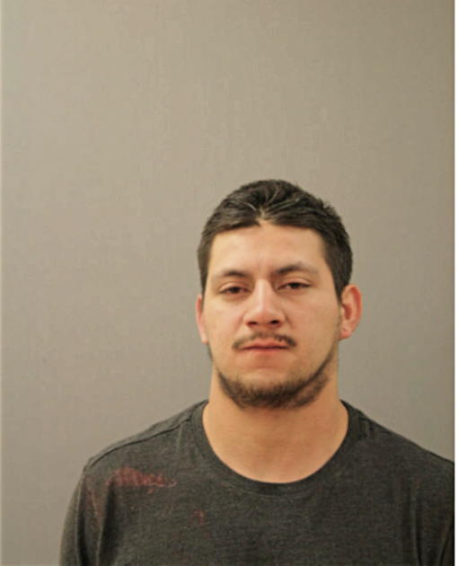 JOSE R ARITA, Cook County, Illinois