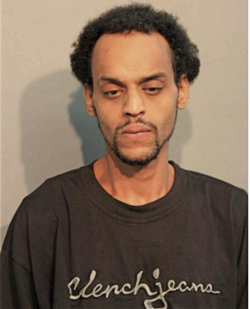 ABDELAZIZE B BESHIR, Cook County, Illinois