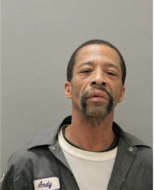 KERRY H BRITTON, Cook County, Illinois
