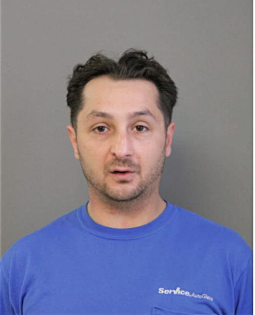NICHOLAS L CASSARO, Cook County, Illinois