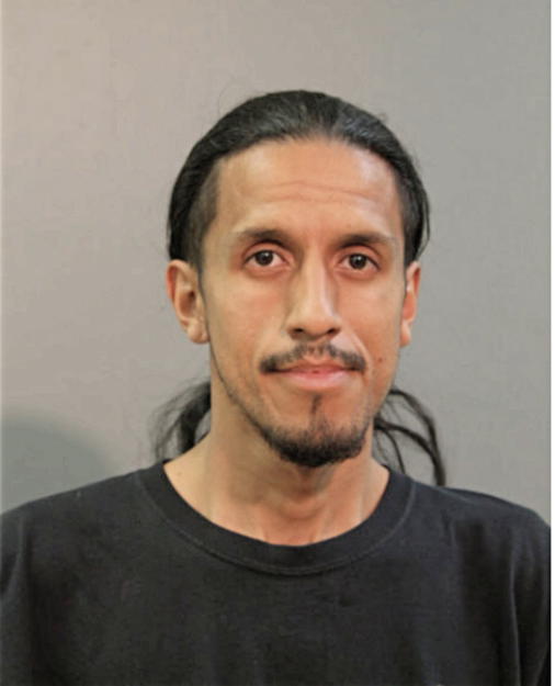 RONALD E COELLO, Cook County, Illinois