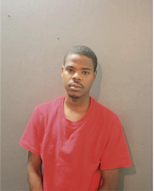BRYAN W DAMPIER, Cook County, Illinois