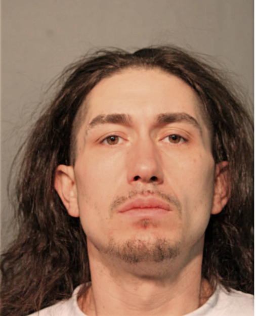 DAVID DONOVAN DIAZ, Cook County, Illinois