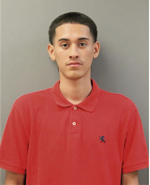 CHRISTOPHER GALEANA, Cook County, Illinois