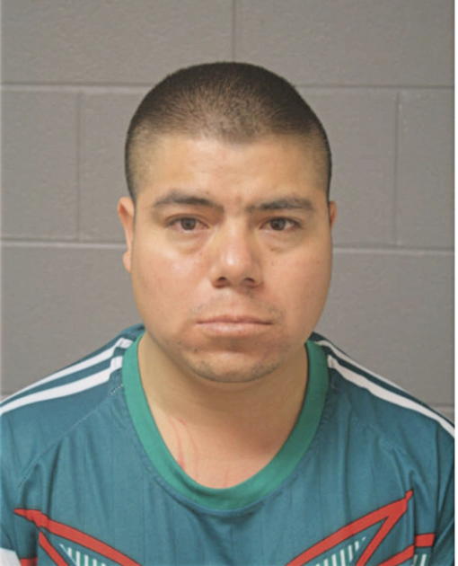 SERVANDO GARCIA, Cook County, Illinois