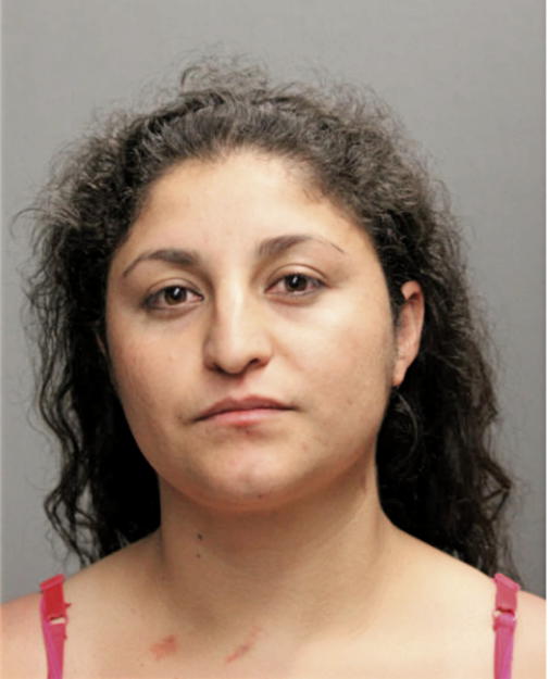 CAROLINA T GARCIA-TELLEZ, Cook County, Illinois