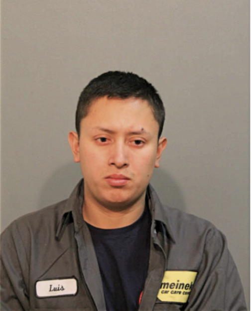 LUIS E GUAJACA, Cook County, Illinois
