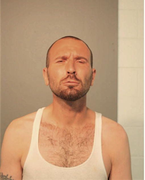 SABAN HABIBOVIC, Cook County, Illinois