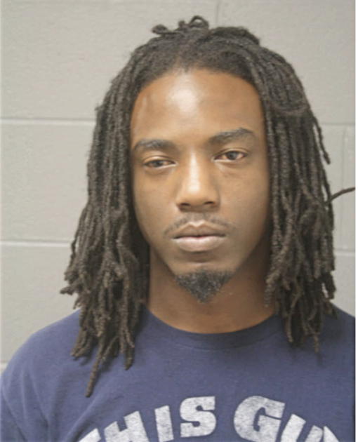 DARIUS T HAYNES, Cook County, Illinois