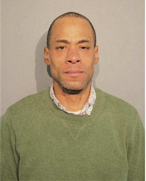 MICHAEL A JOHNSON, Cook County, Illinois