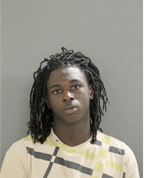 TYION M JOHNSON, Cook County, Illinois