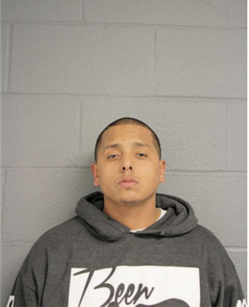 SAEZ L JOSE, Cook County, Illinois