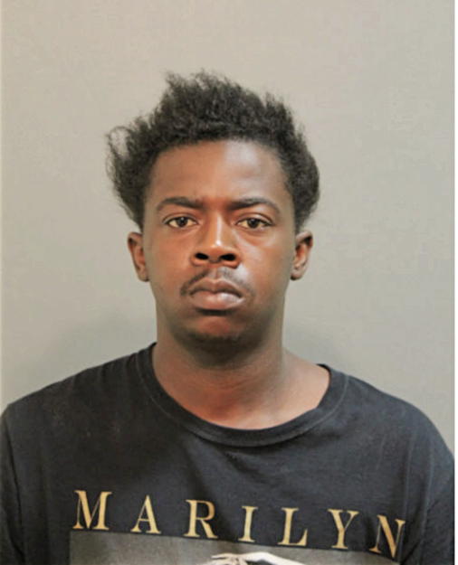TERION D KELLOGG, Cook County, Illinois