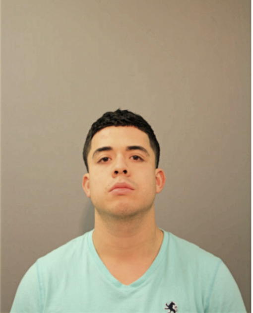 JOSE A LORENZANA, Cook County, Illinois