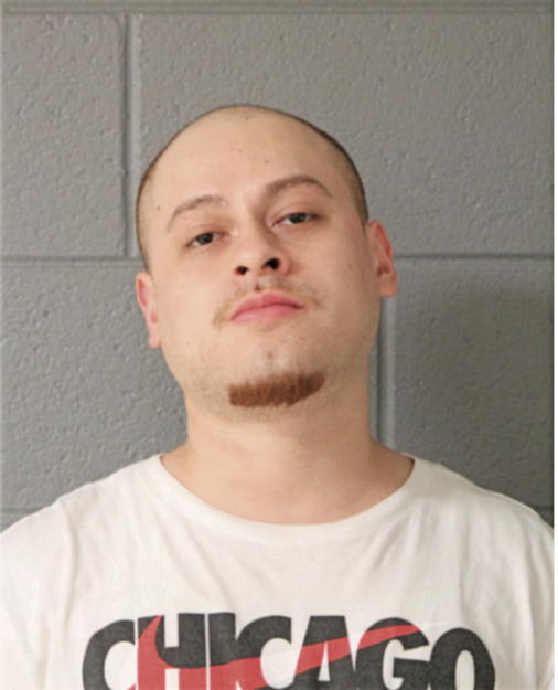 FABIAN R MAGDALENO, Cook County, Illinois