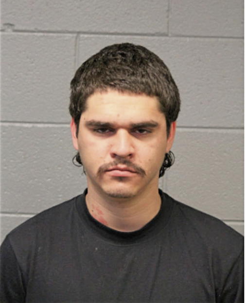 JUAN G MAGDALENO, Cook County, Illinois