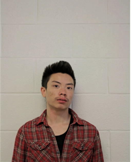 KEITH T NGUYEN, Cook County, Illinois