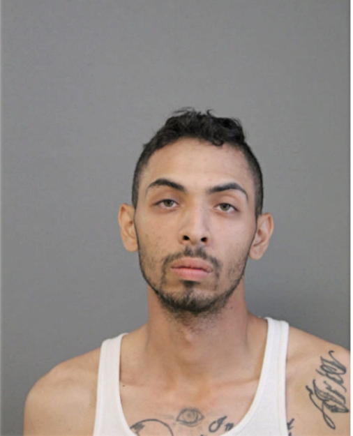 HECTOR A REYES, Cook County, Illinois