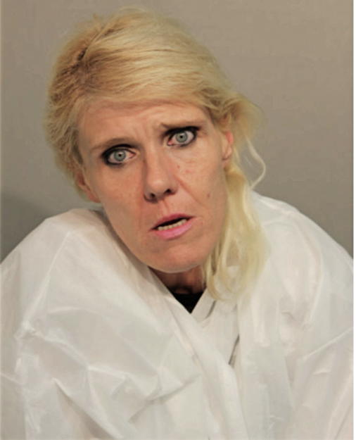 VICTORIA L SALVATO, Cook County, Illinois