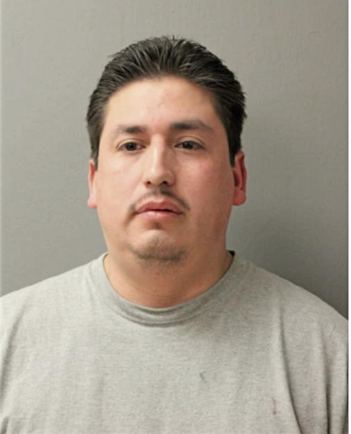 ROGELIO SANTANA, Cook County, Illinois