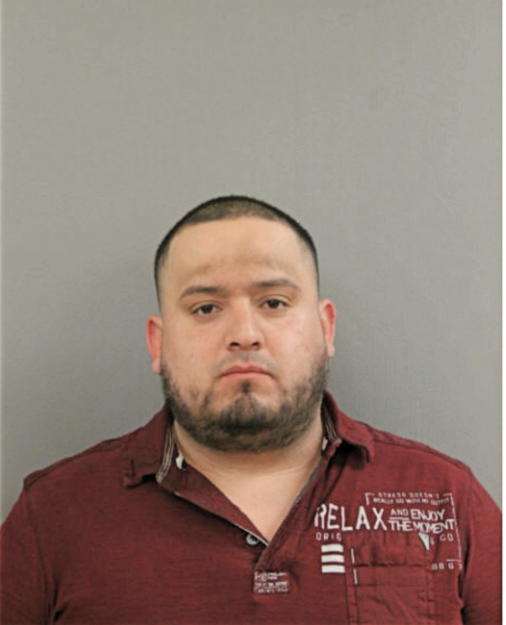 LUIS M SAUCEDO, Cook County, Illinois