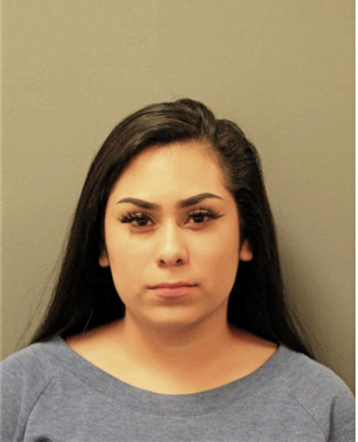 YERENA HERNANDEZ SURISADAY, Cook County, Illinois