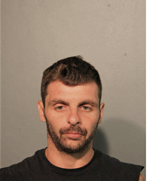 RADU TANASE, Cook County, Illinois
