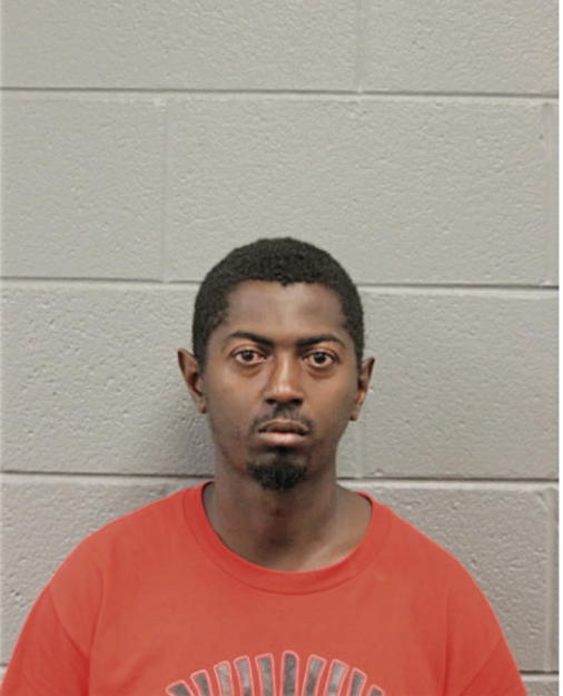 MICHAEL M VENSON, Cook County, Illinois