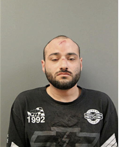 ANTHONY AMADEO, Cook County, Illinois