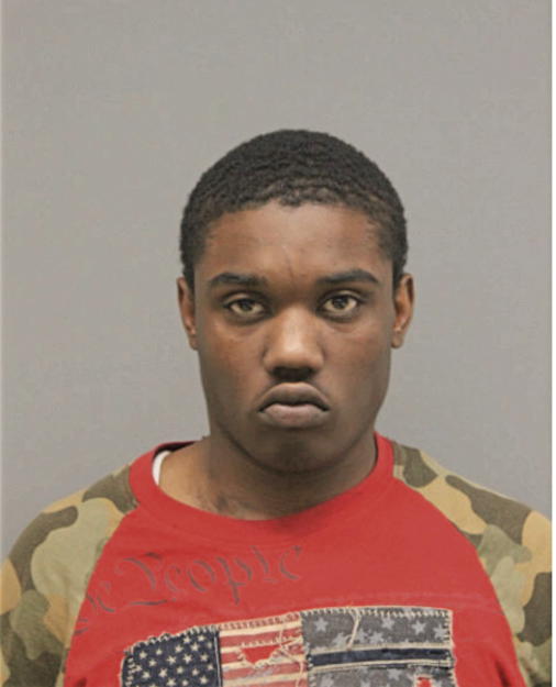 JOHNNY S ANDERSON, Cook County, Illinois