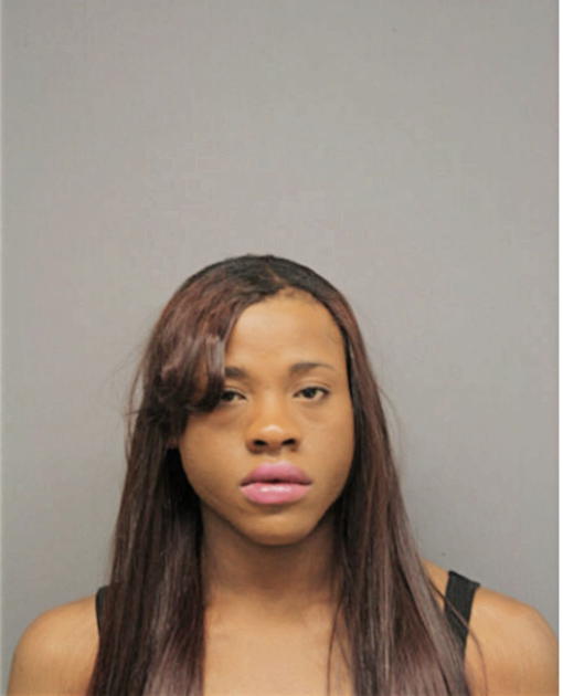 CHRISTOPHER I BELLAMY, Cook County, Illinois