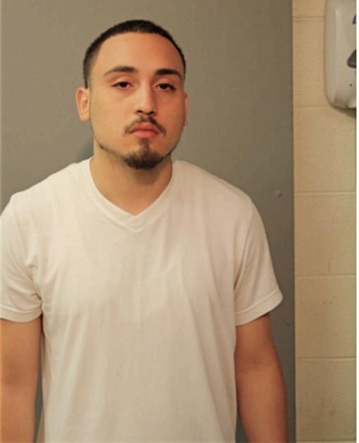 LUIS A BRACERO, Cook County, Illinois