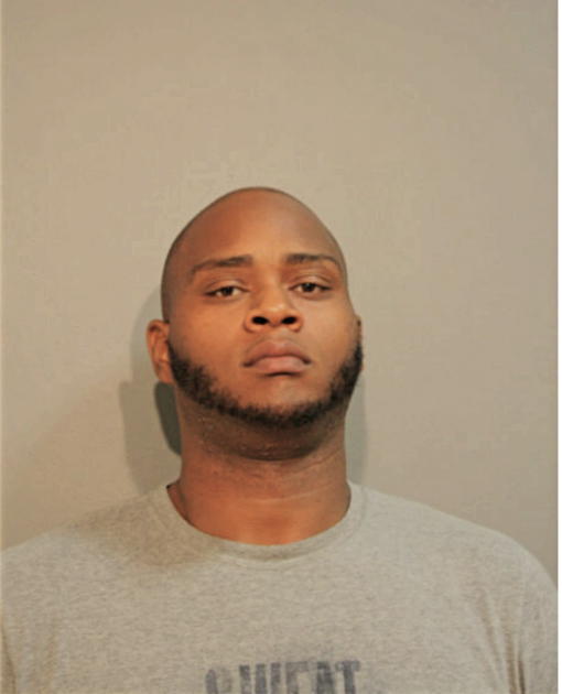 CHRISTOPHER L BURNS, Cook County, Illinois