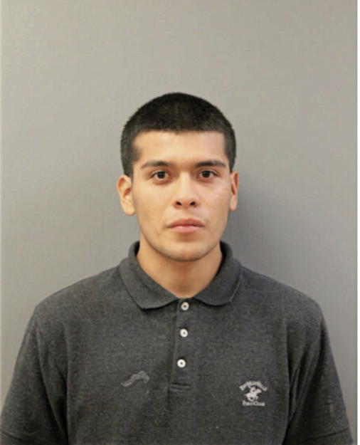 LUIS DIAZ-DELEON, Cook County, Illinois