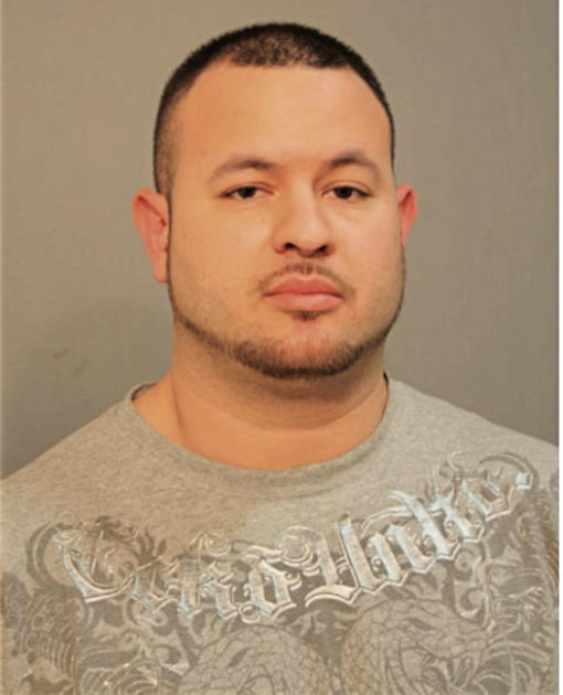 ADAM FLORES, Cook County, Illinois